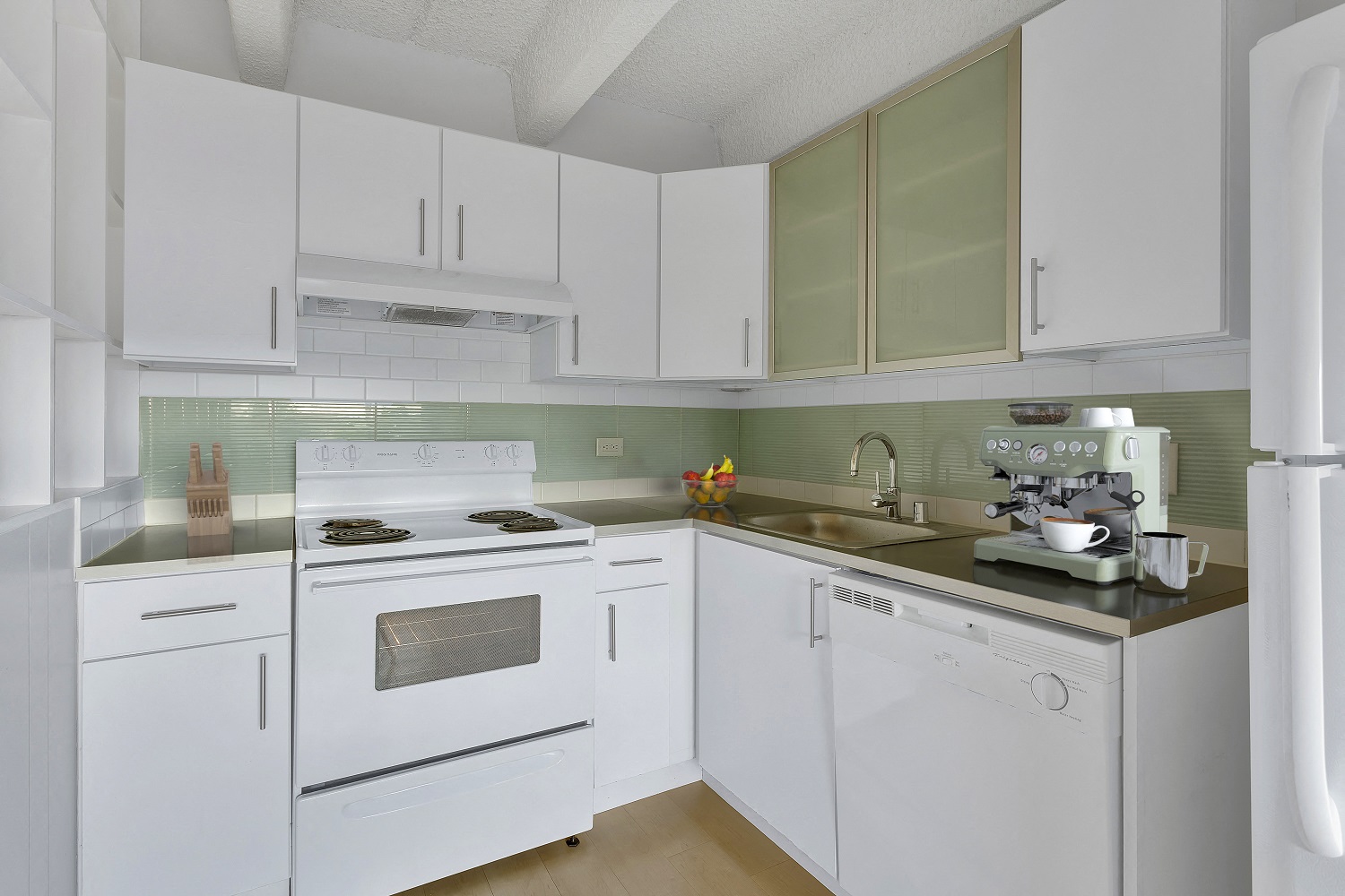 825 Dahlia Image 7